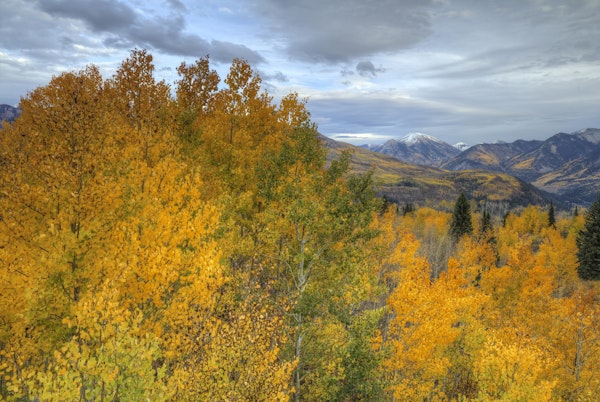 Autumn At McClure Pass