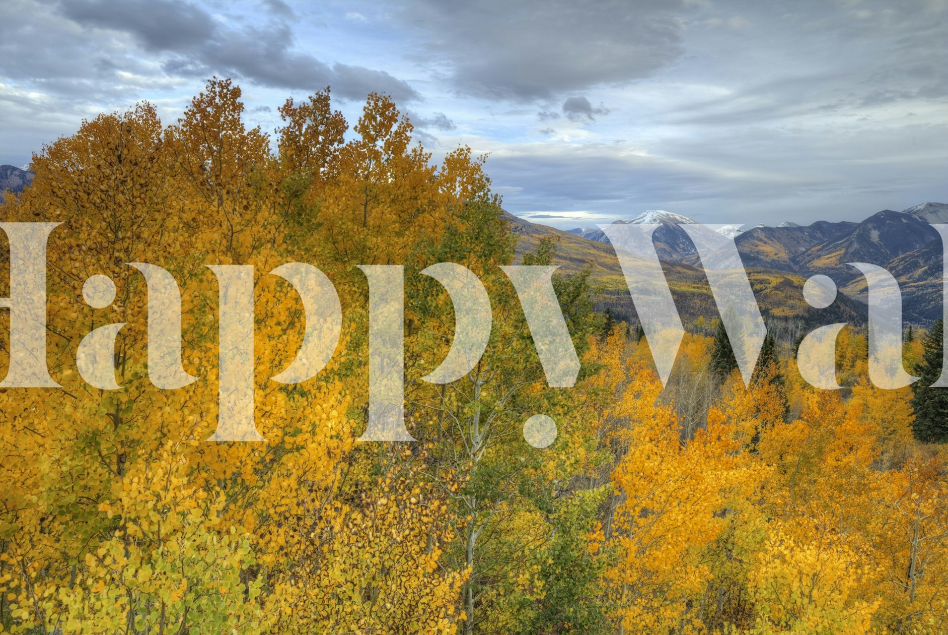 Colorful autumn trees with golden leaves, mountains wallpaper