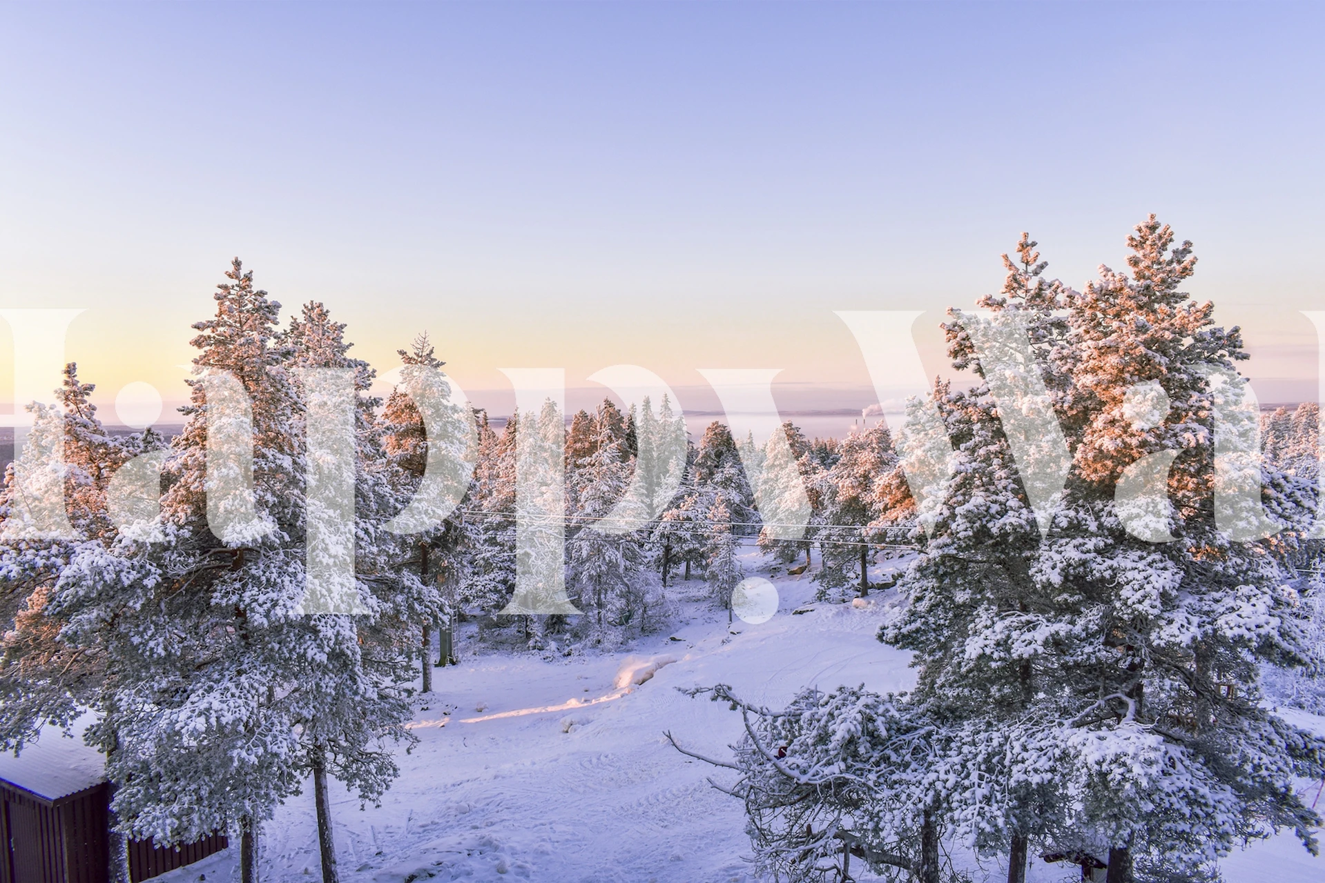 Lapland vinterlandskap tapet i ett rum
