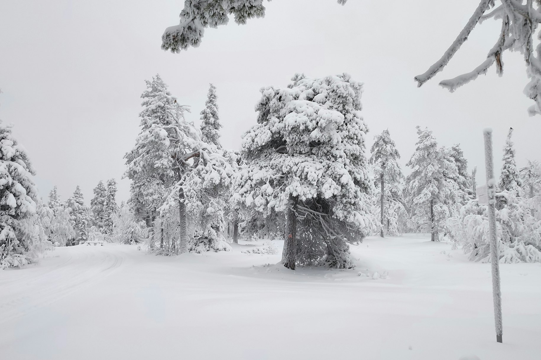 Lapland Winter Landscape 2 Wallpaper Happywall