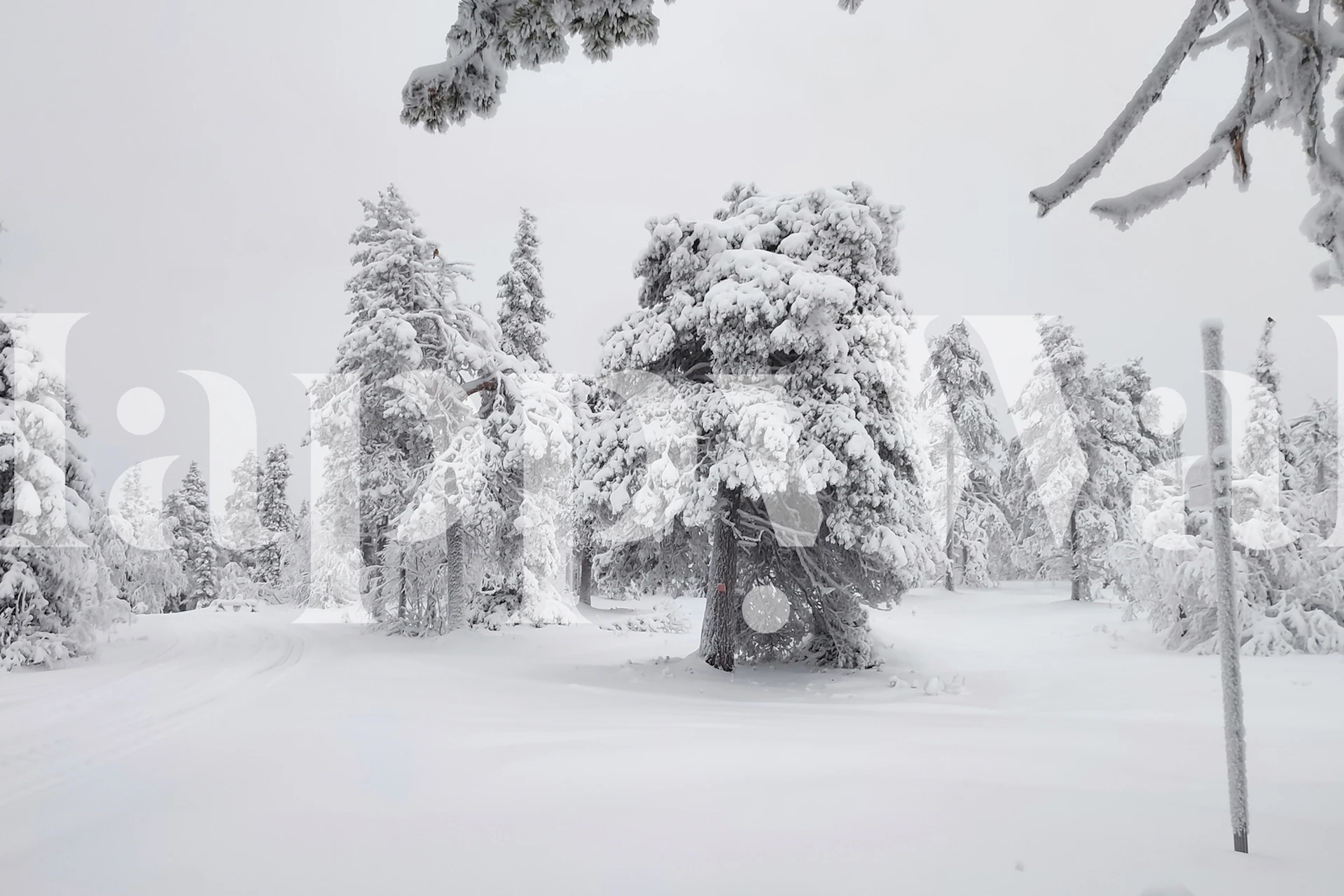 Papel de parede paisagem de inverno da Lapônia em um quarto
