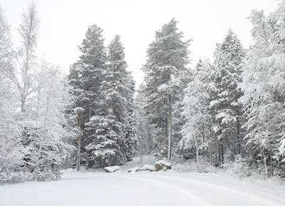 Τοιχογραφία