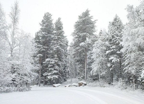 Winter nature Finland