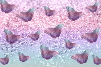 Pastel Unicorn Butterfly 1 wallpaper