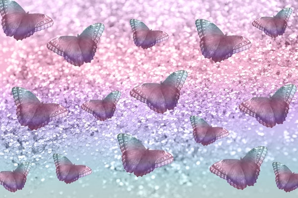 Pastel Unicorn Butterfly 1