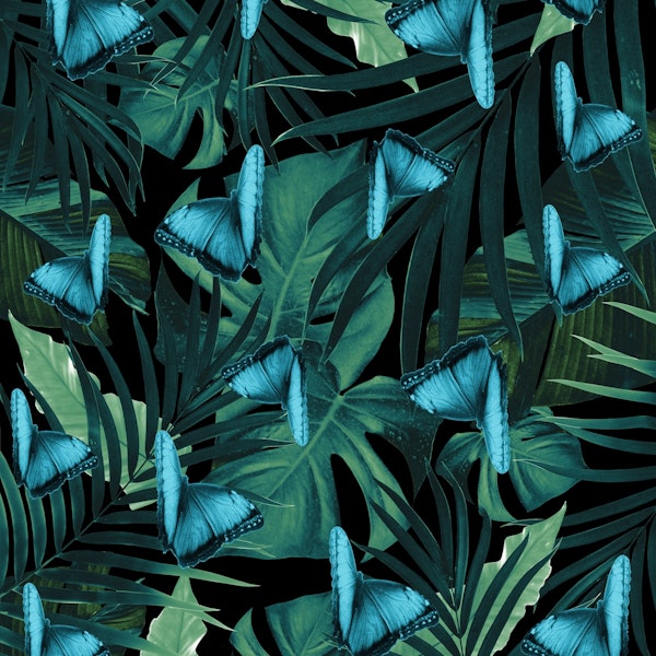 Tropical Butterfly Jungle 5