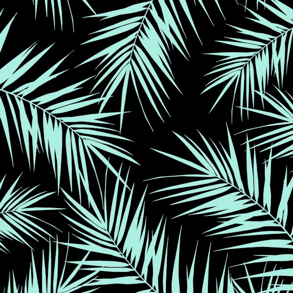 Palm Leaves Cali Finesse 4