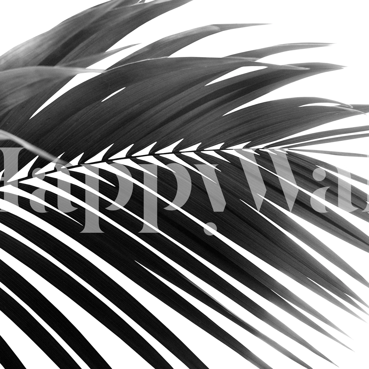 Tapeta Palm Leaf Black White v pokoji