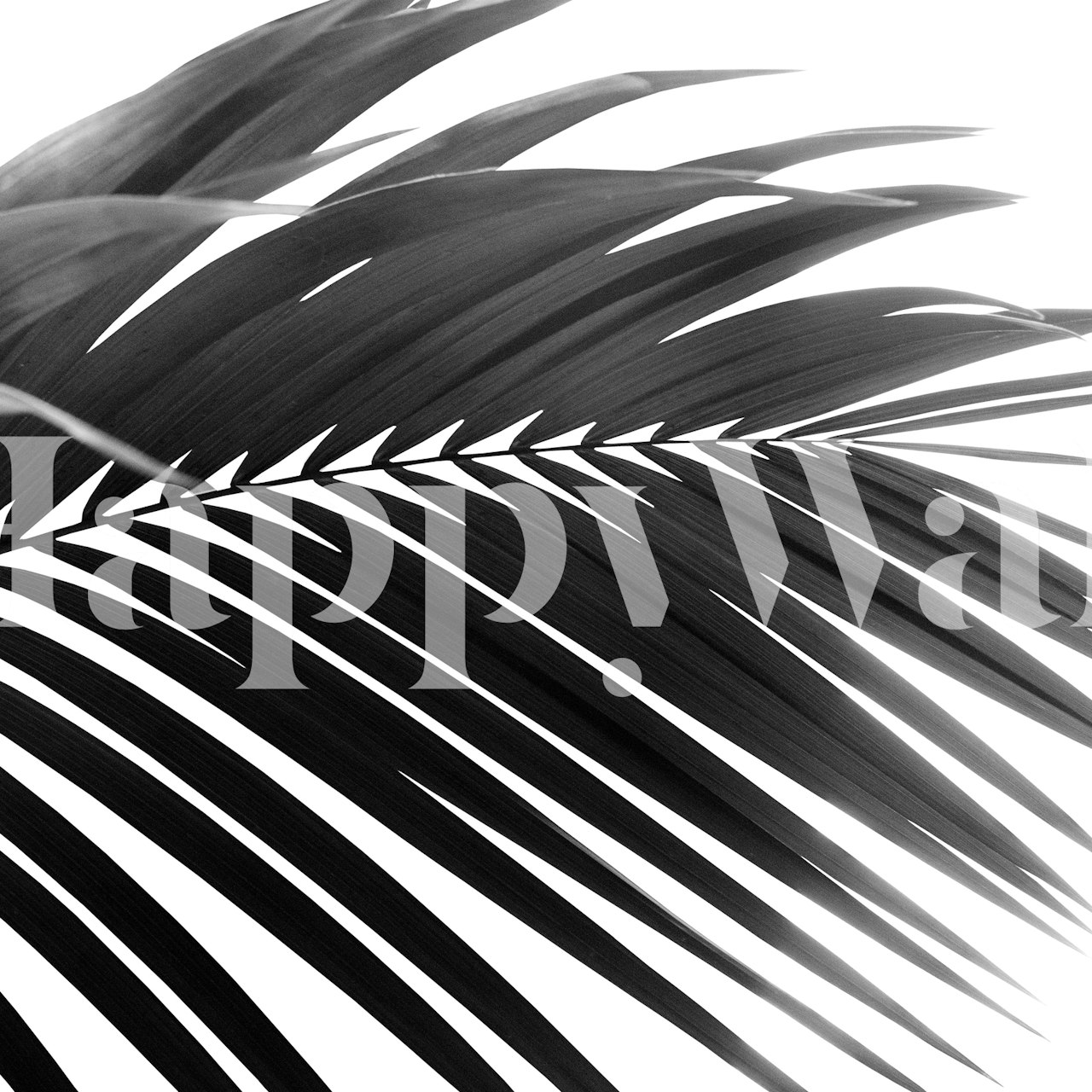 Black and white palm leaf wallpaper in a room