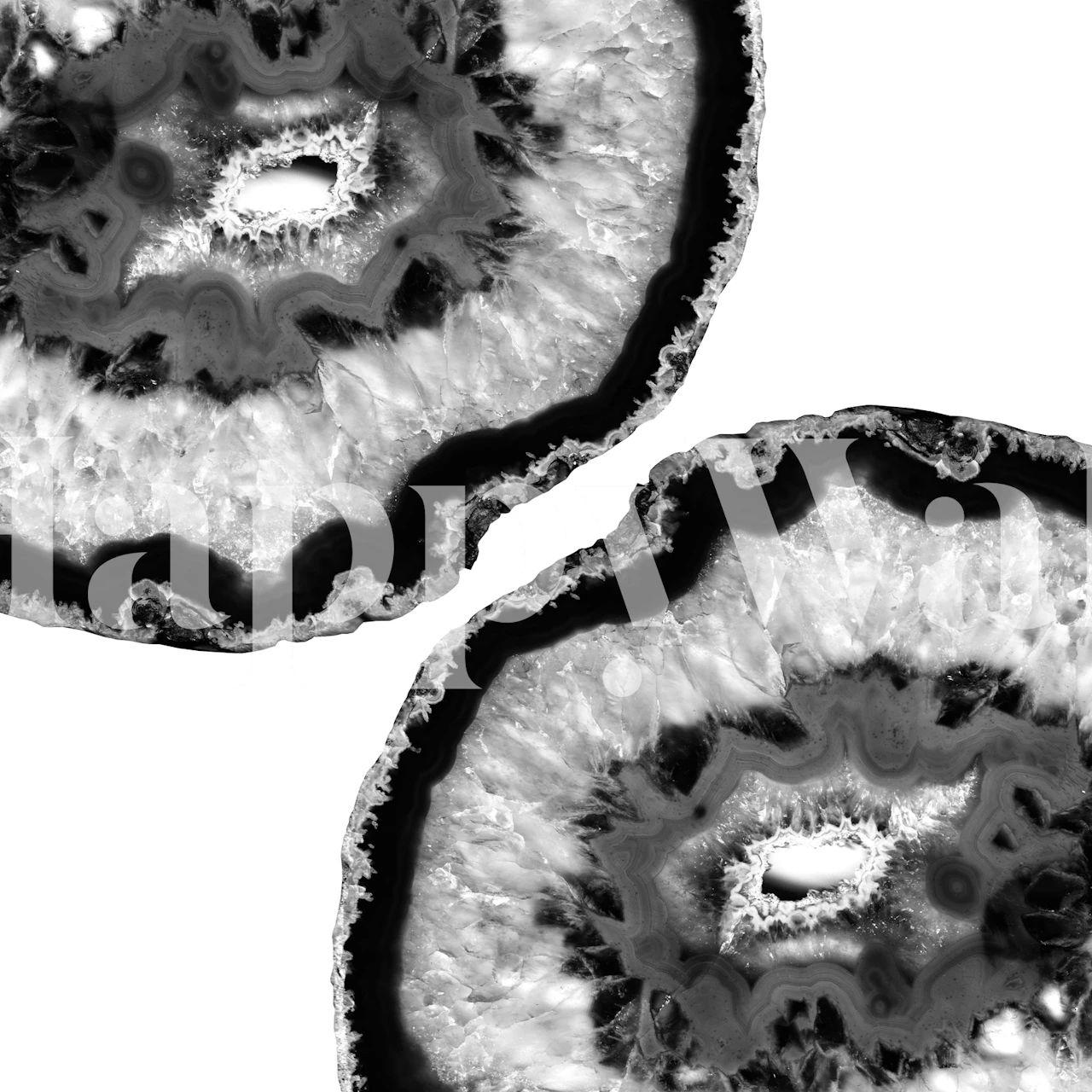 Vægmaleri med grå og sort agatmønstre med hvide highlights