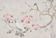 Chinoiserie With Cockatoo