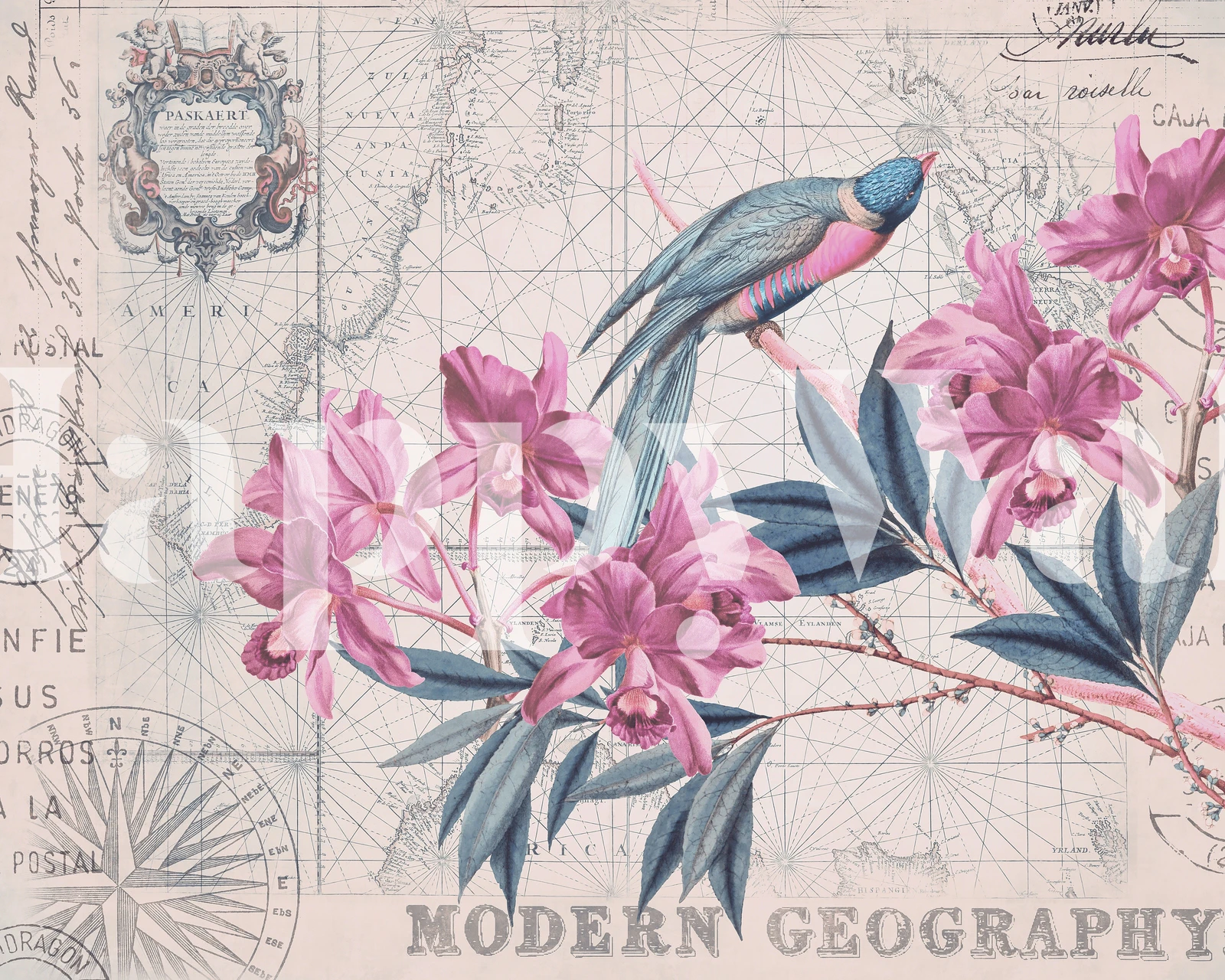 Návrh tapety The Birds Voyage v místnosti