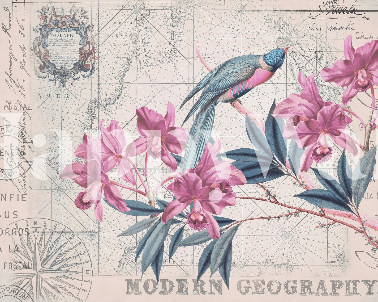 The Birds Voyage tapetdesign i et rom