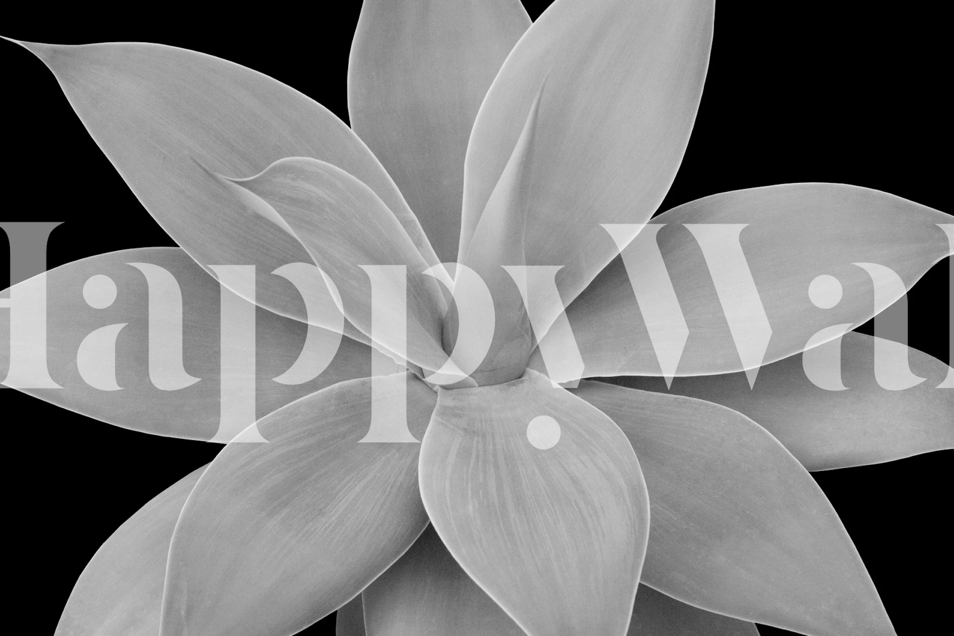 Gray black agave leaves pattern wallpaper