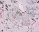 China Nostalgia Chinoiserie