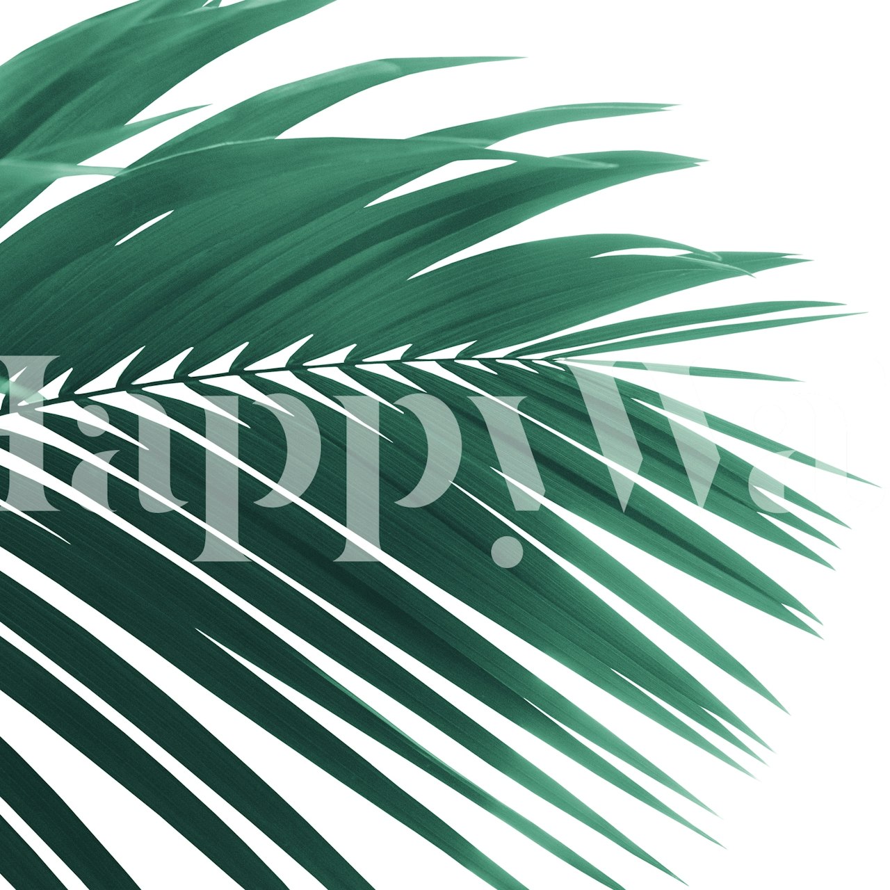 Tropical palm leaves in green on white background wallpaper