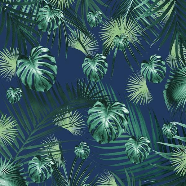 Tropical Jungle Dream 2