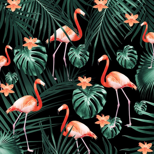 Tropical Flamingo Night 1