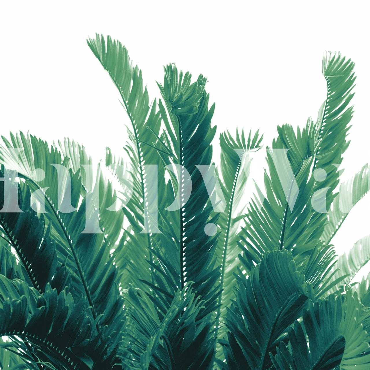 Tropical Leaves Dream 2 i ett vardagsrum