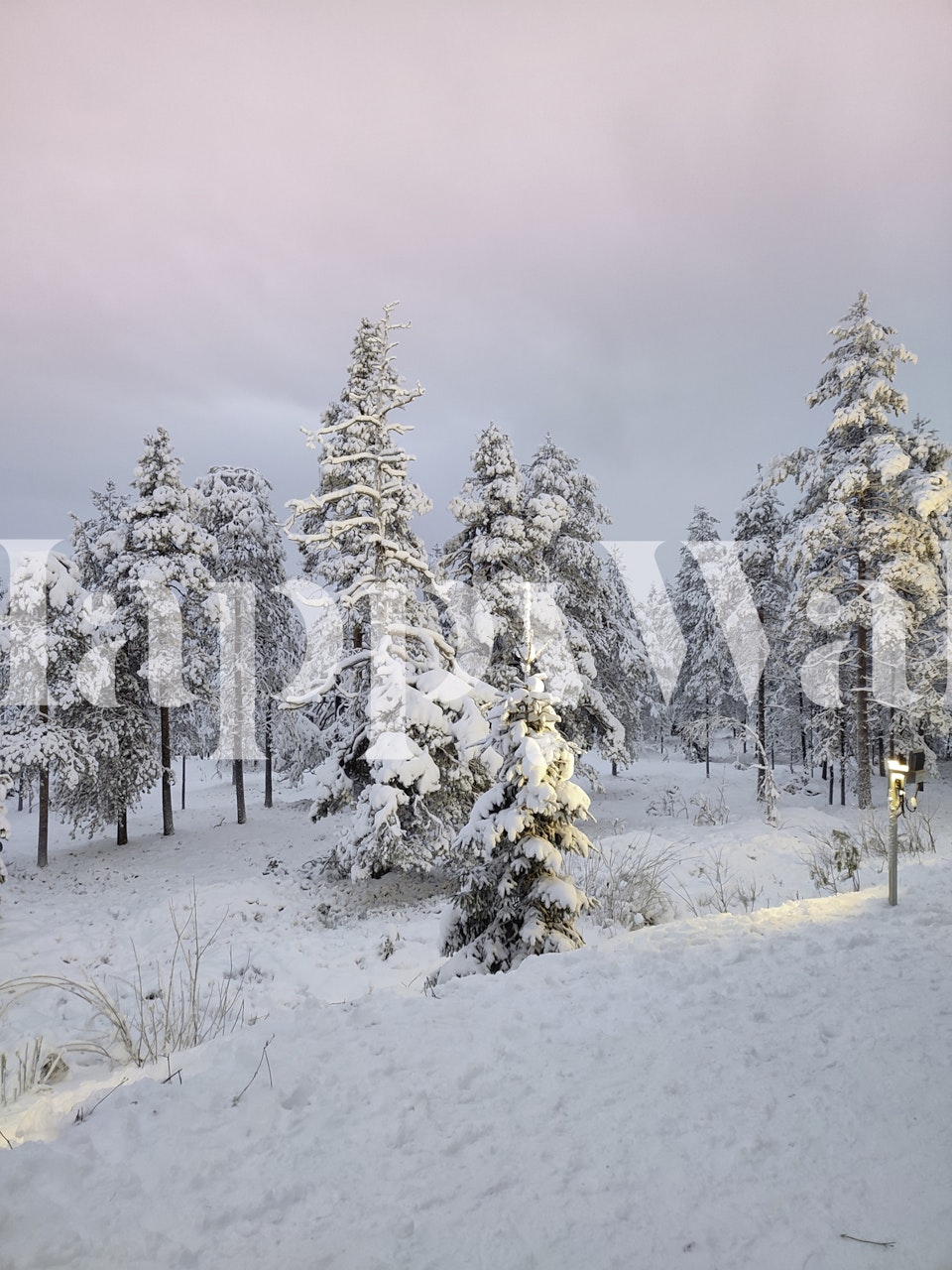 Snowy mountain landscape with frosted trees against a tranquil sky wall mural