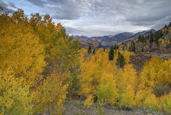 Autumn Glory At McClure Pass 1