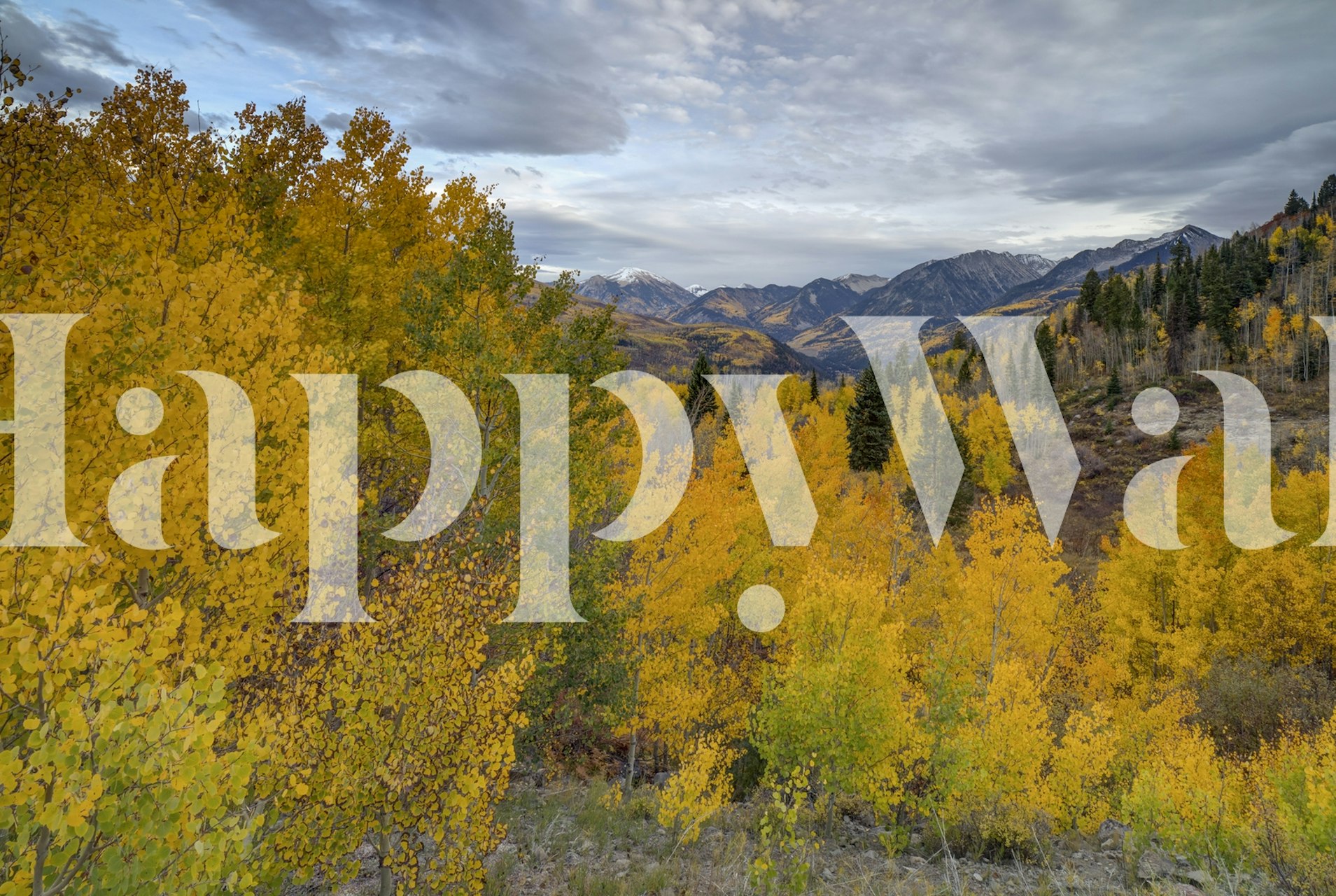 Κίτρινα δέντρα λεύκας το φθινόπωρο στην τοιχογραφία τοίχου McClure Pass