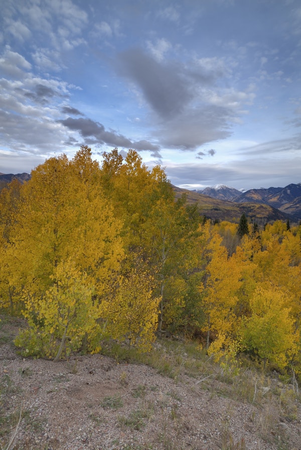 Autumn Glory At McClure Pass 2