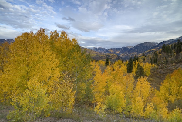 Autumn Glory At McClure Pass 3