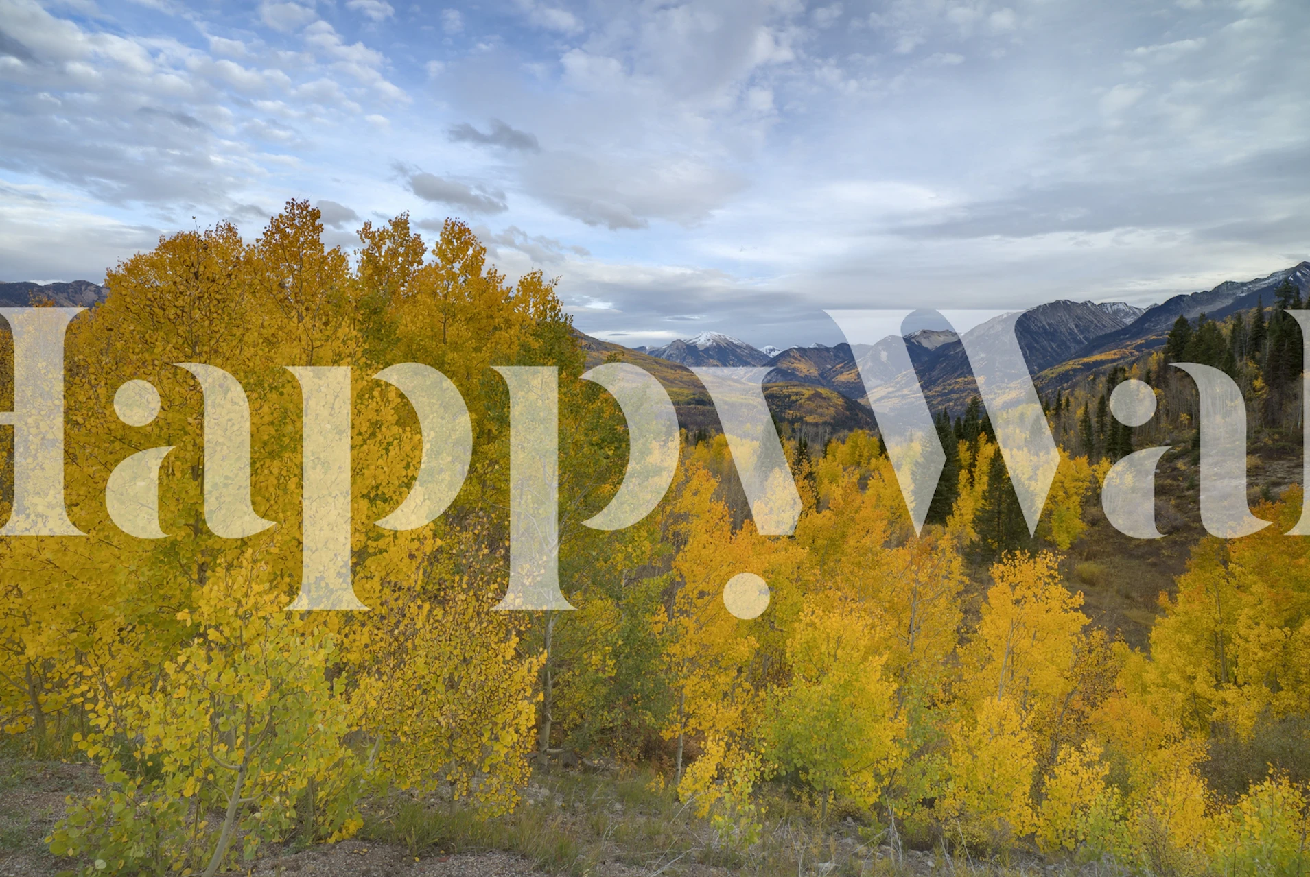 Autumn landscape wallpaper with golden leaves