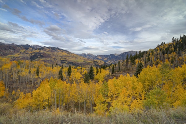 Autumn Glory At McClure Pass 4