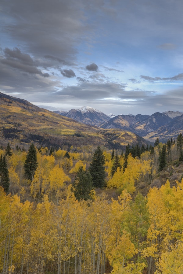 Autumn Glory At McClure Pass 5