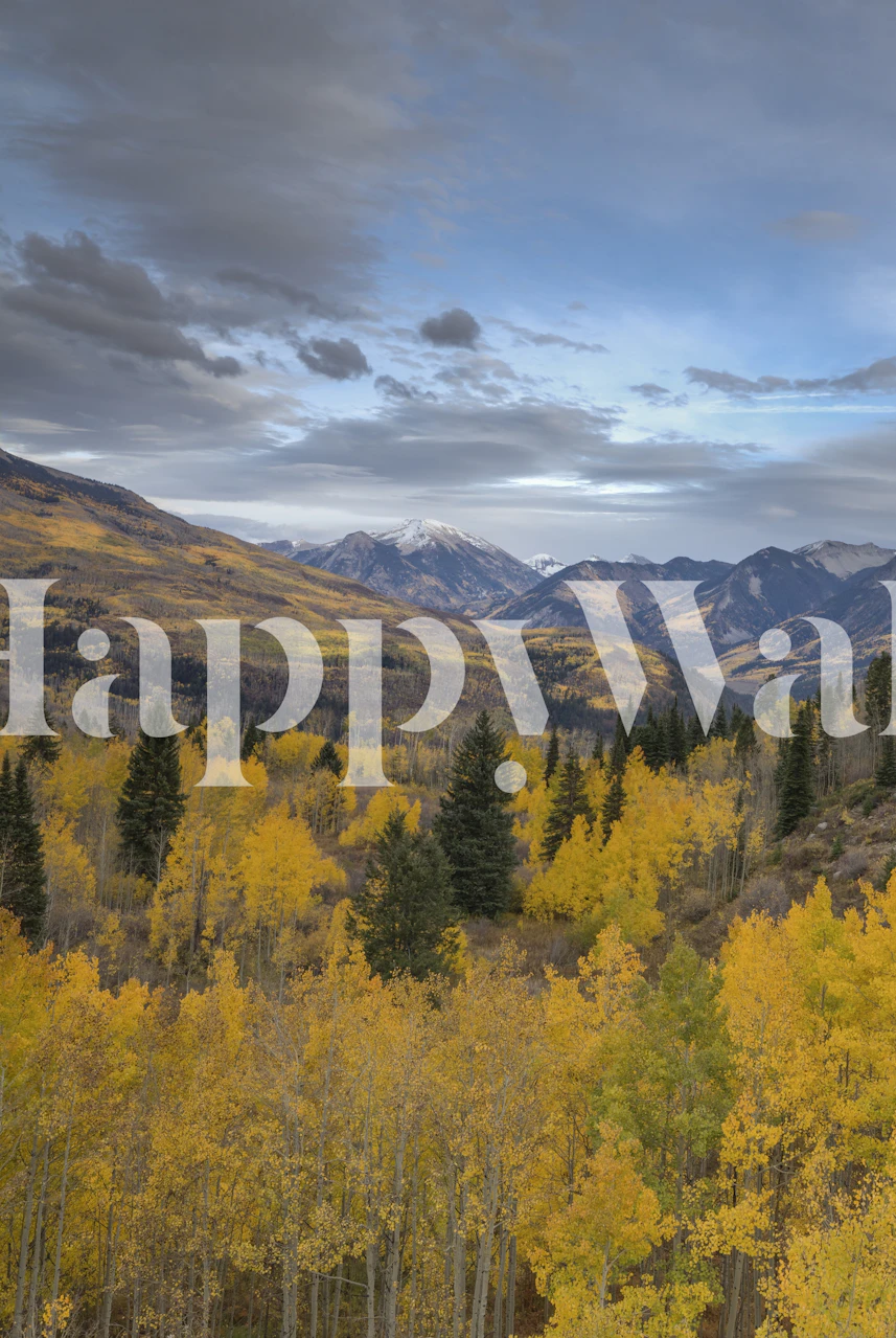 Autumn Glory At McClure Pass 5 Tapete in einem Raum