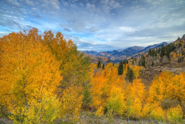 Autumn Glory At McClure Pass 6