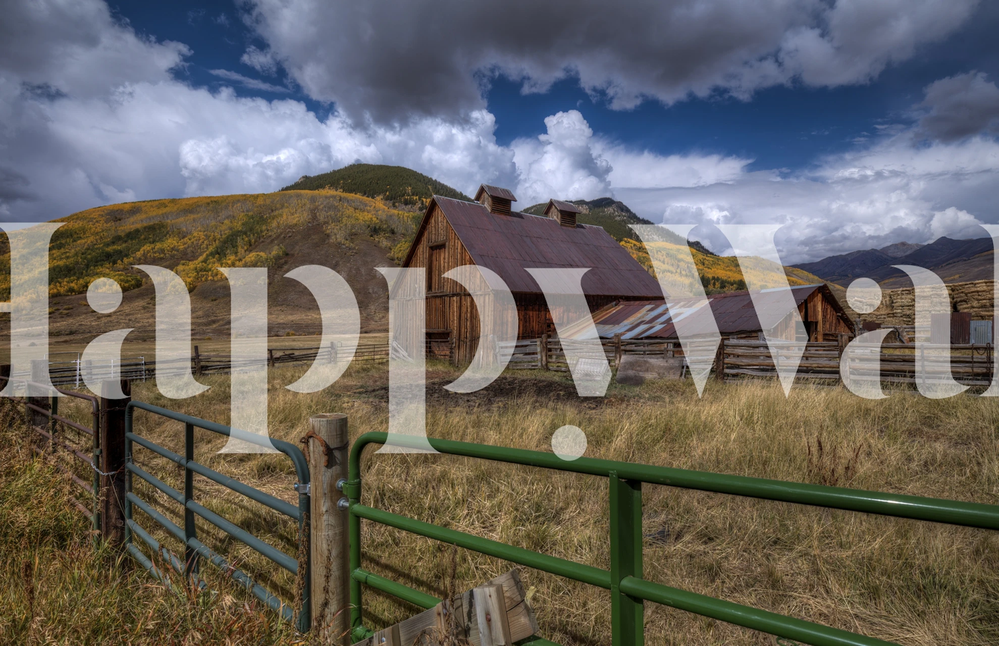Autumn harvest themed wallpaper in a room