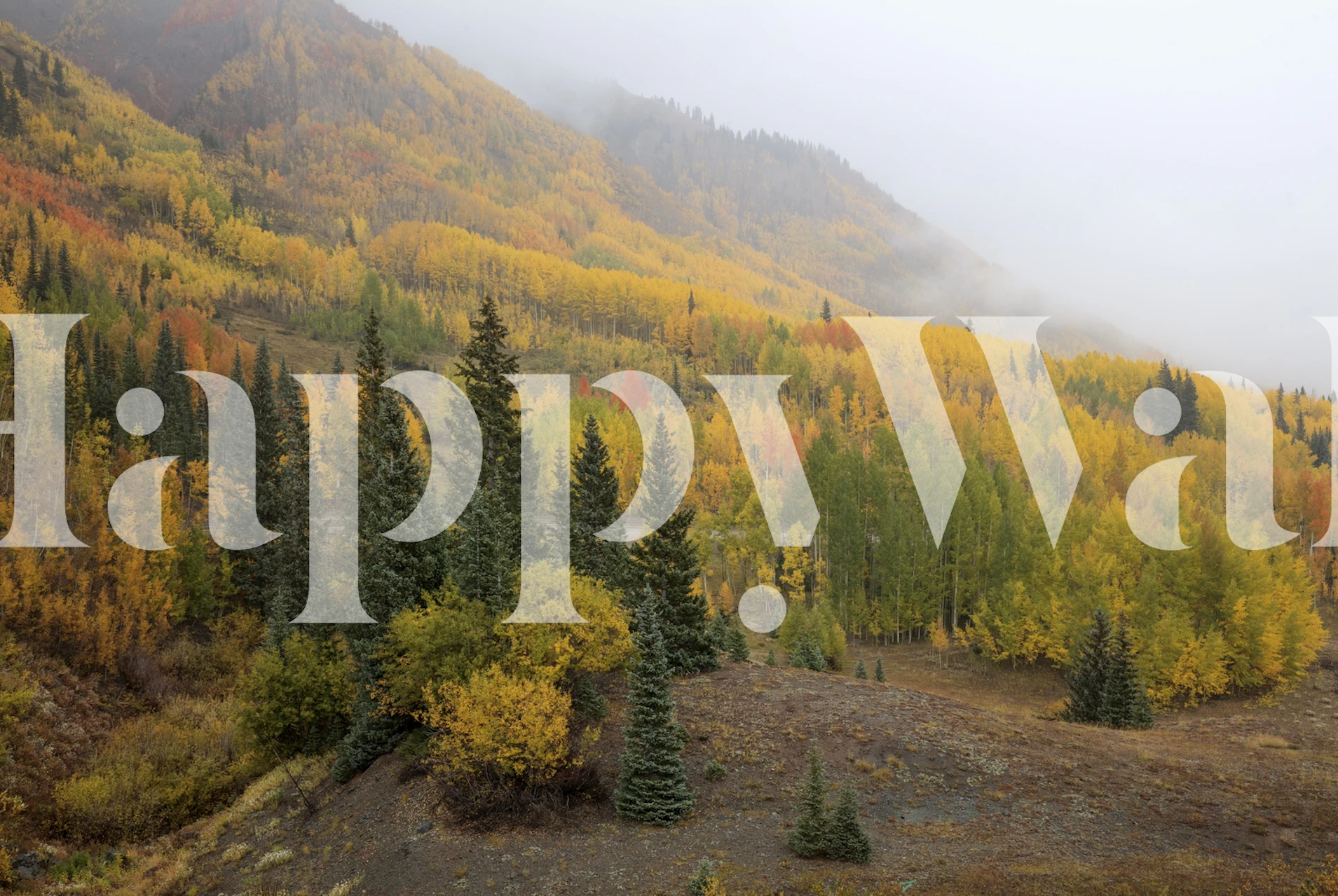 Rauhallinen syksyinen maisemamaalaus ruskalla ja sumulla.