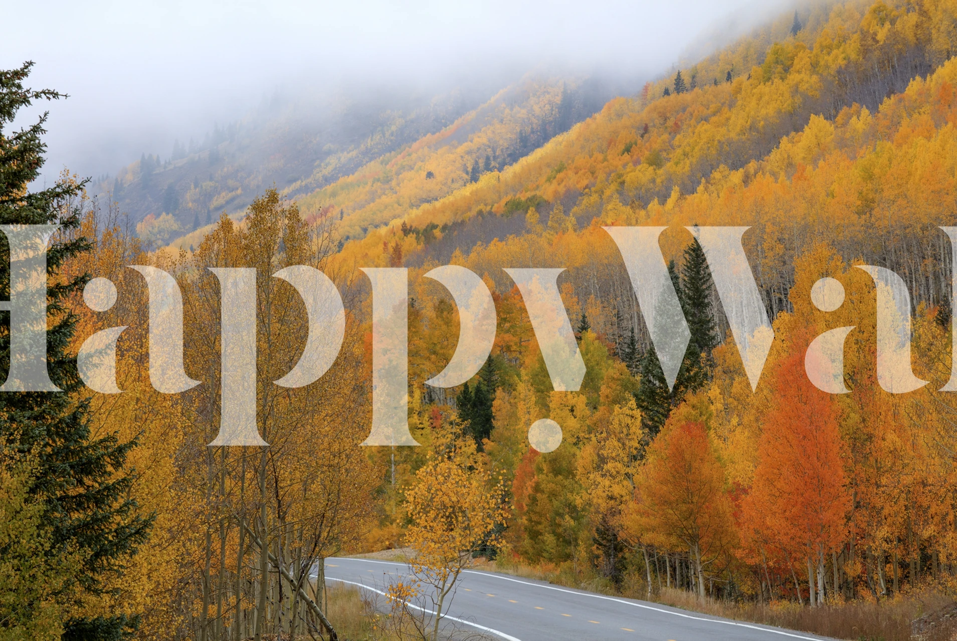 Autumn landscape wallpaper design