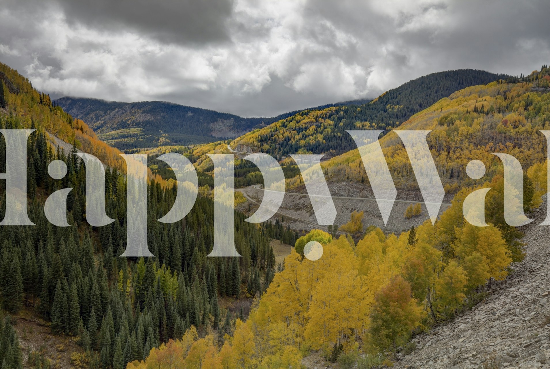 Autumn mountain landscape with yellow trees and green pines wallpaper