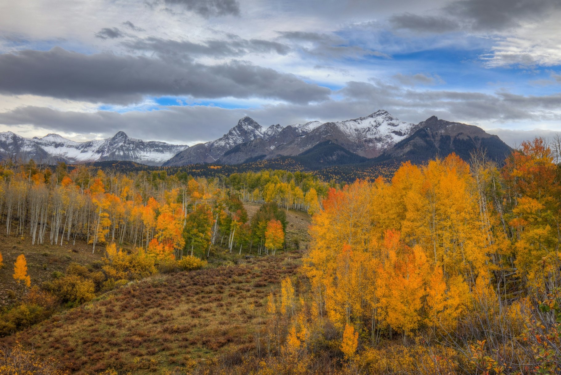 Buy Autumn Splendor at Mt. Sneffels Wallpaper | Happywall