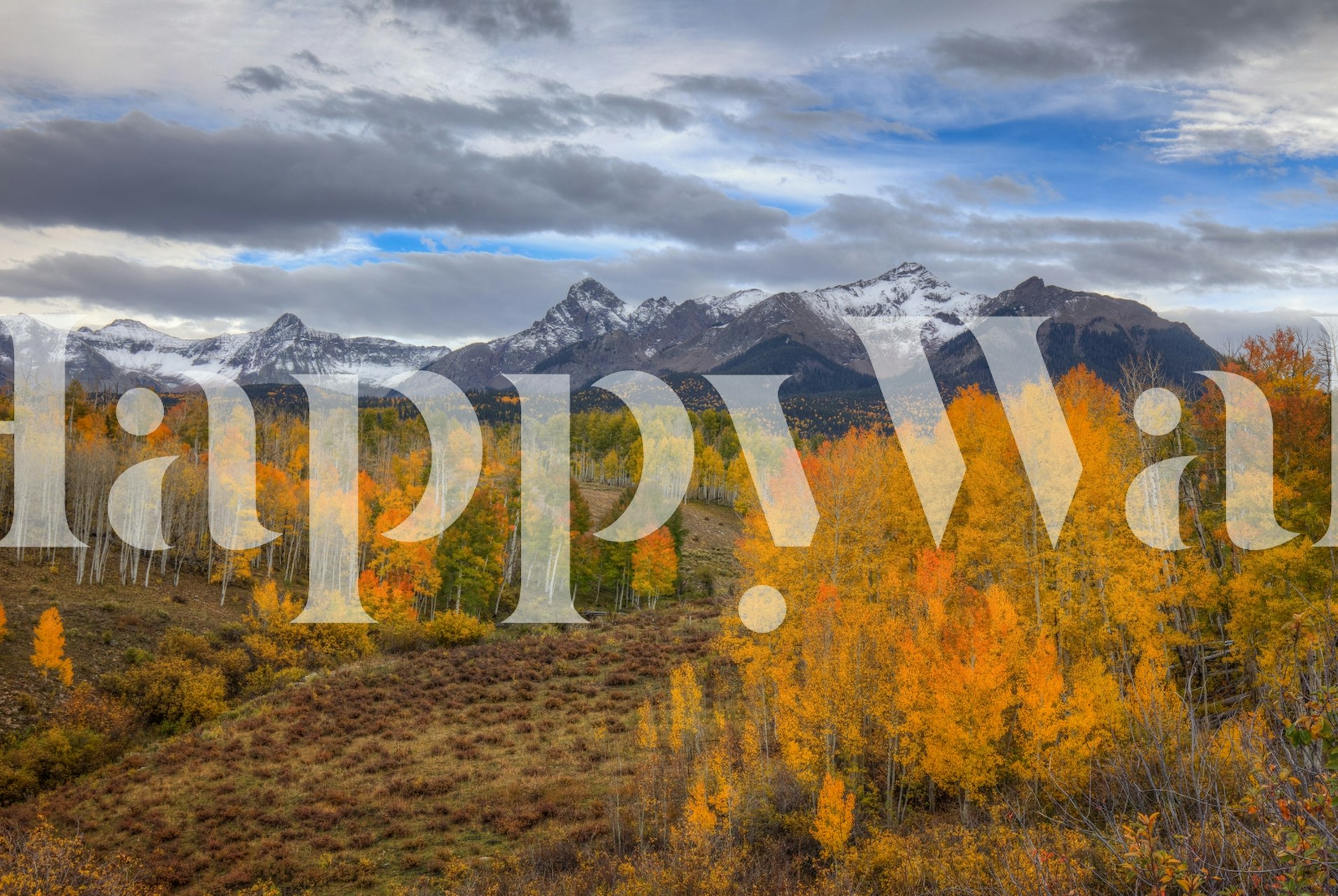 colorful autumn foliage in front of Mt Sneffels with golden aspens and majestic mountain peaks