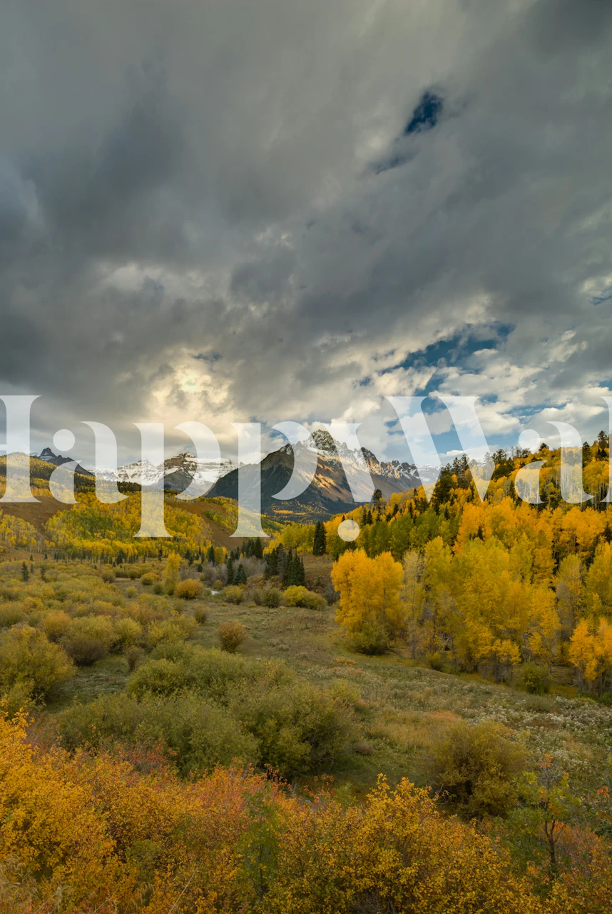 Wall mural of Mount Sneffels in fall with storm clouds and golden aspen trees