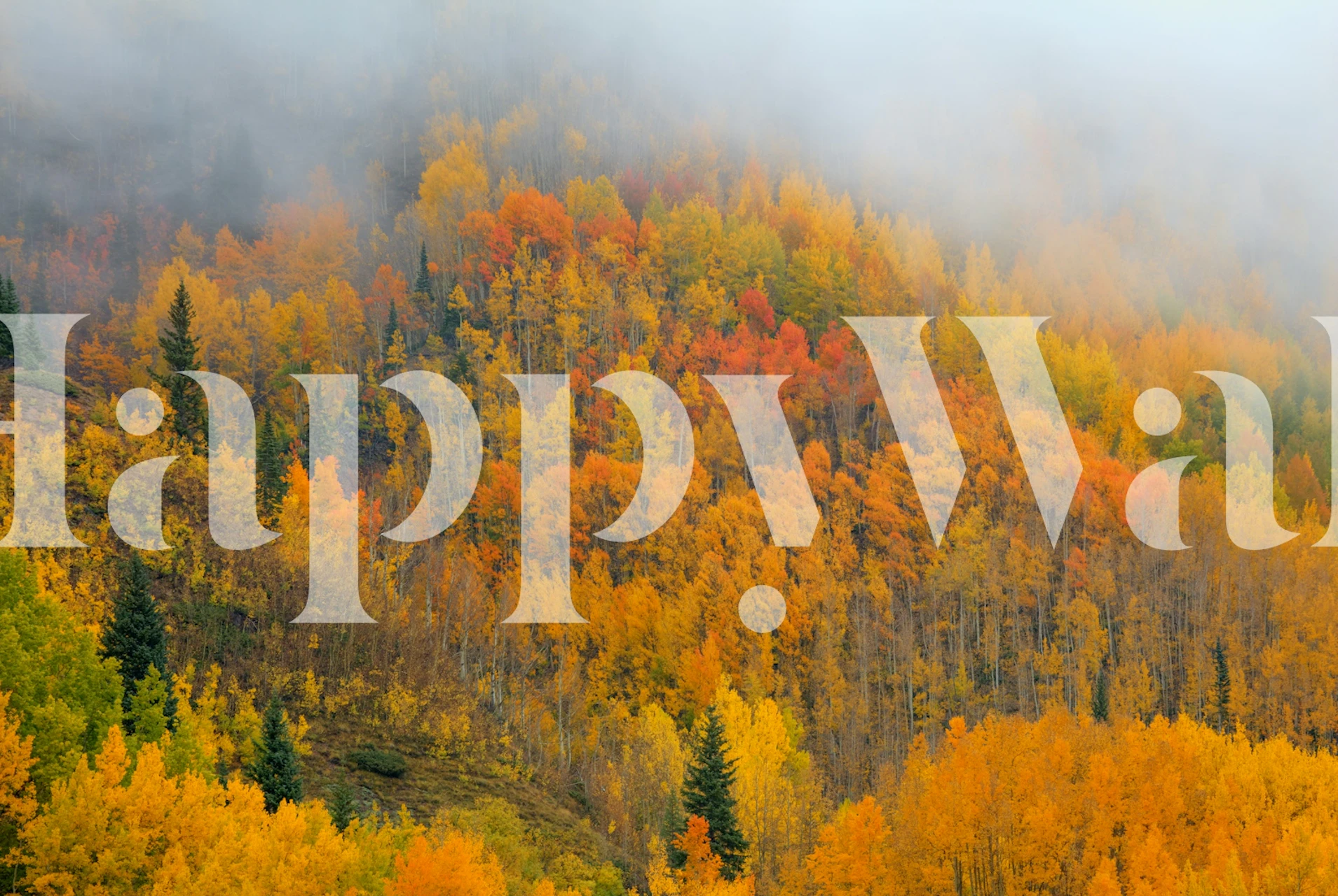 Emergence behang in herfstkleuren