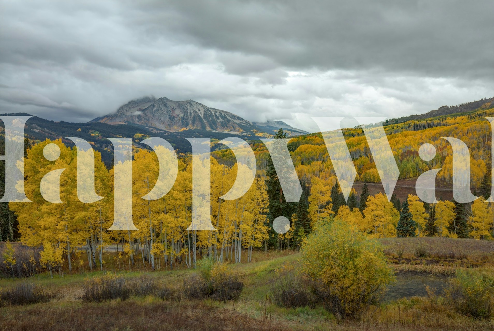 Autumn landscape wallpaper with yellow leaves