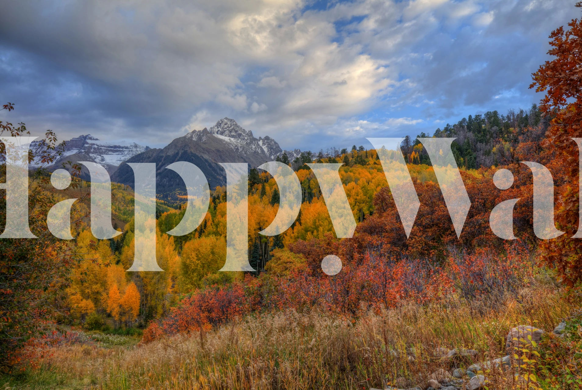 Mount Sneffels wallpaper in a cozy room