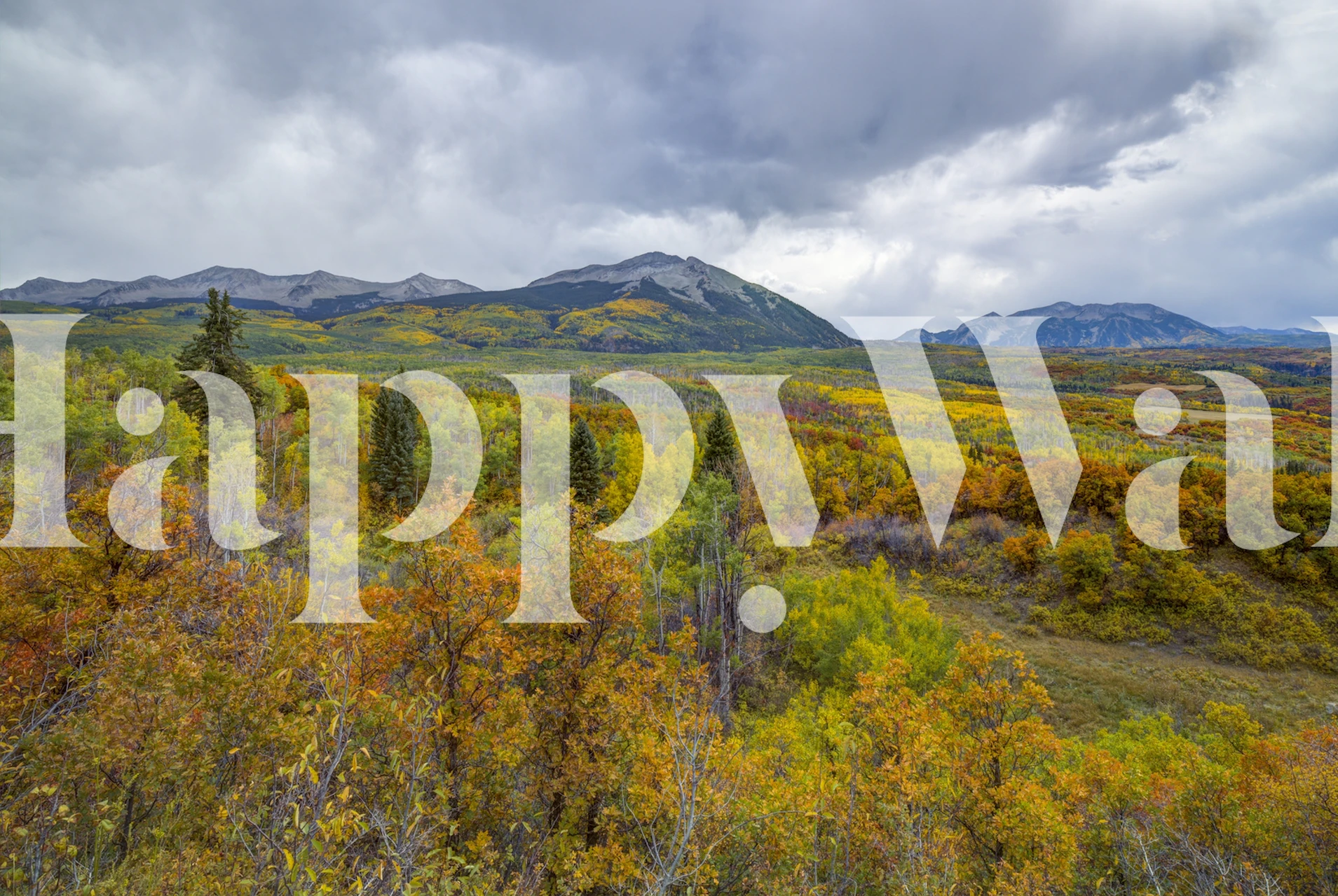 Mountains of Aspens Tapete in einem Raum