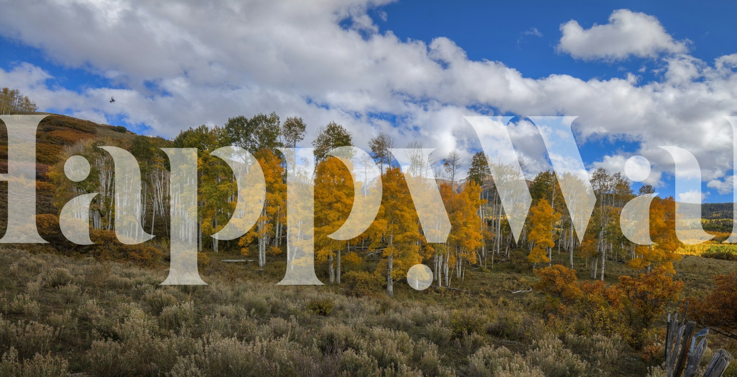 Orange Joy 1 tapet i et rom