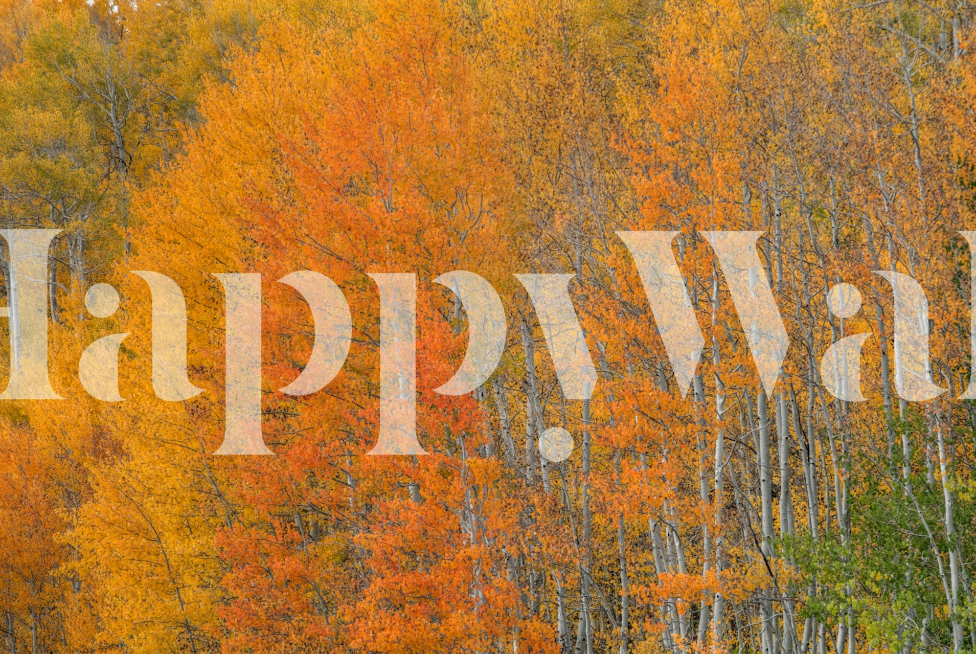 Orange and yellow autumn trees wallpaper