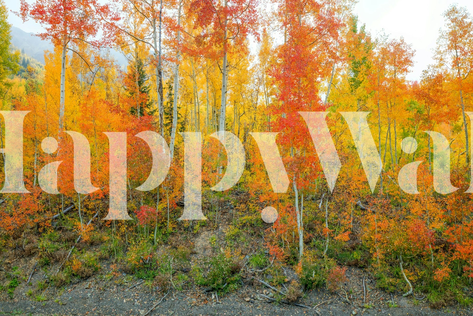 Vibrant herfstontwerp in een kamer