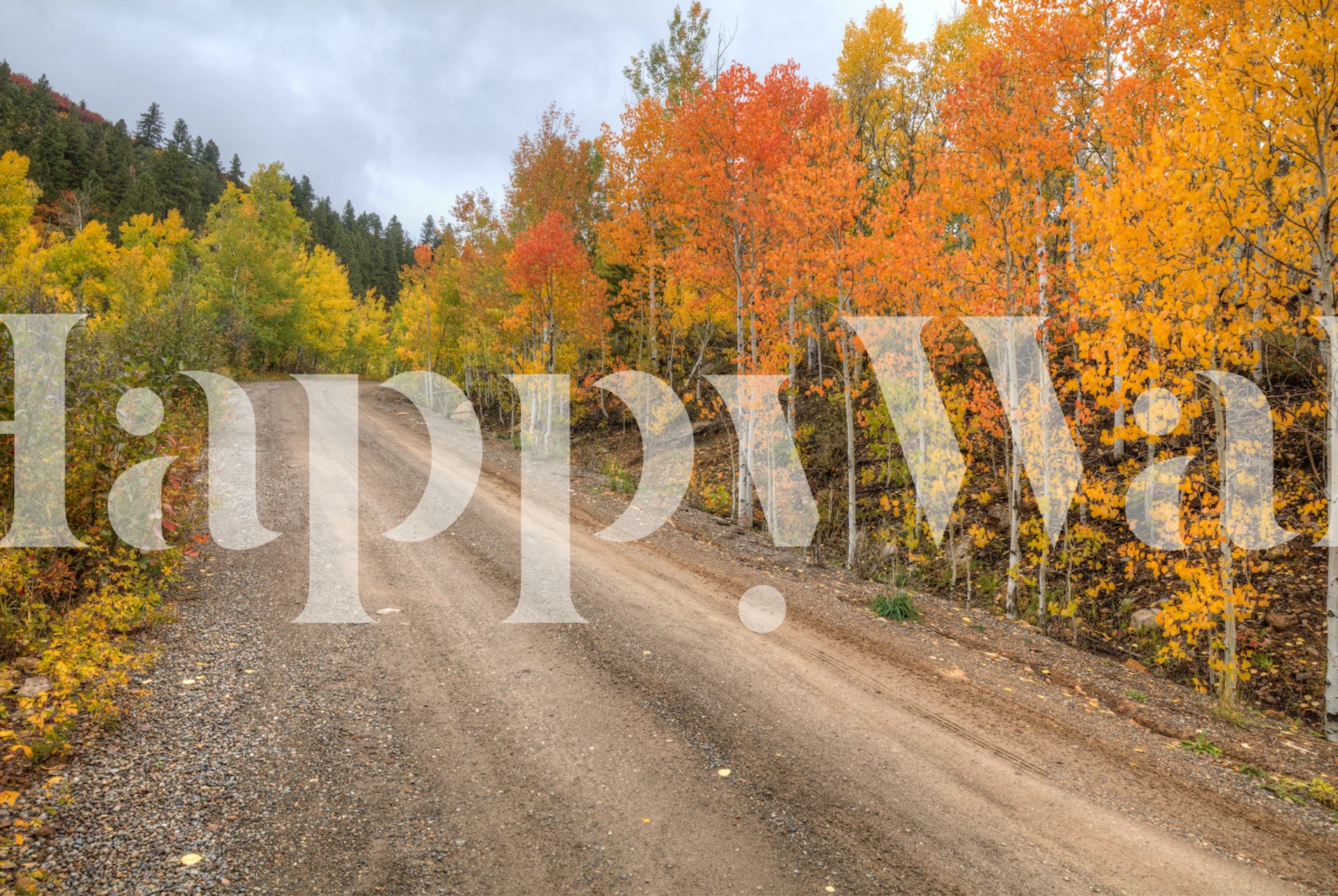 Kleurige herfstbomen langs een dirt road