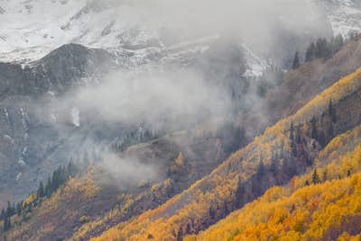 Τοιχογραφία