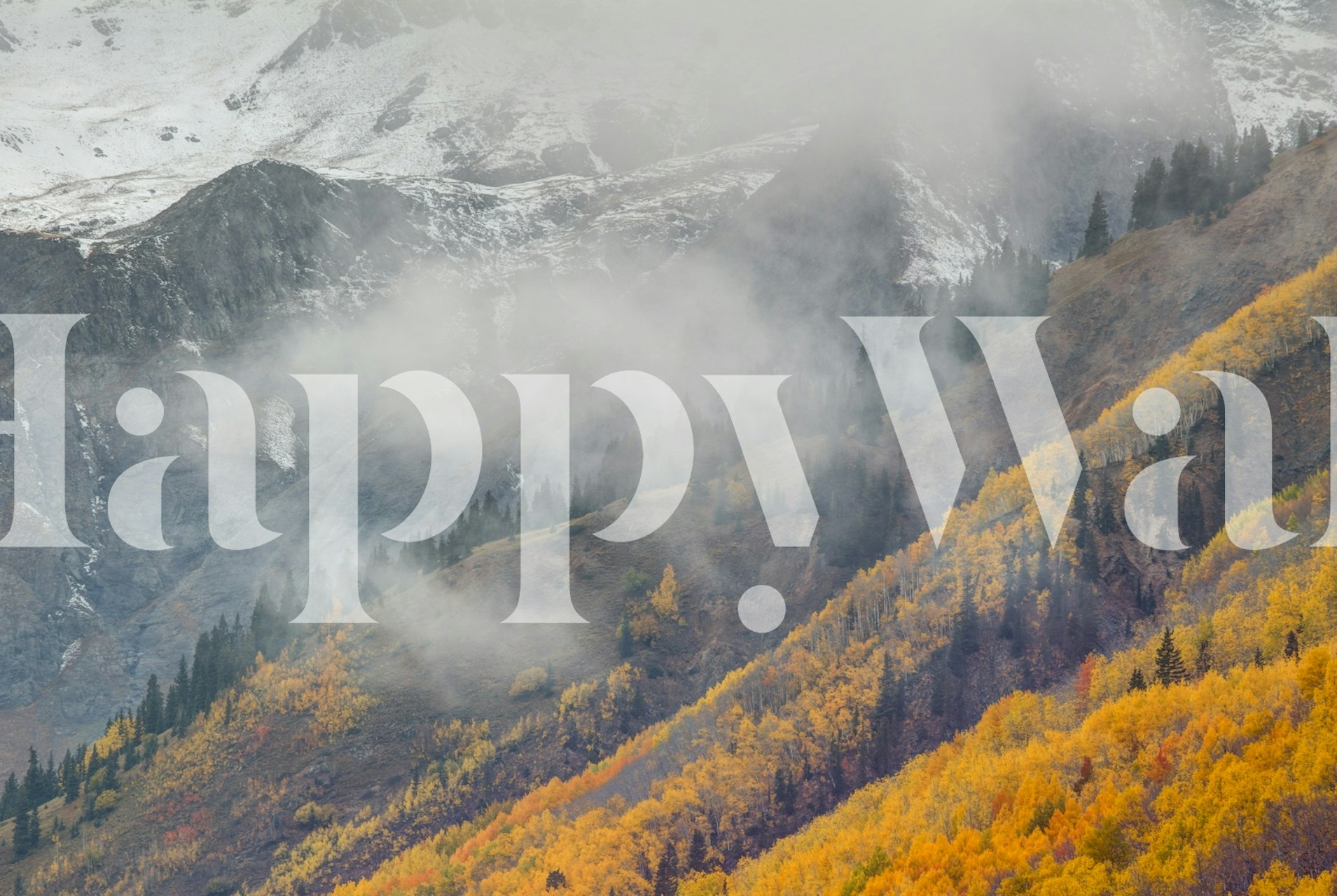 Foggy autumn mountain landscape with vibrant orange and green trees wallpaper